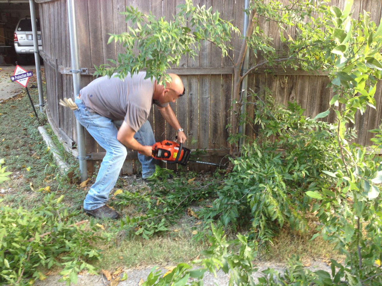 Rod Kinard cutting Yolanda's trees